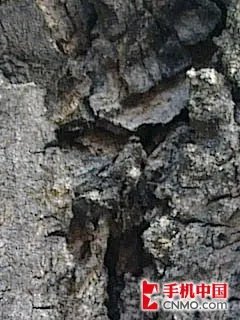 令人惊艳的的500万 诺基亚E72样张解析