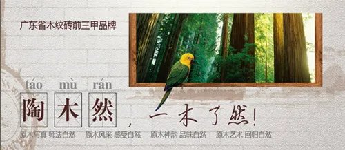 最新2018木纹砖十大品牌排名  助您选购木纹砖一臂之力