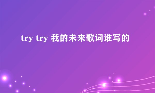 try try 我的未来歌词谁写的