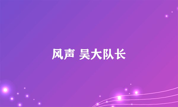 风声 吴大队长