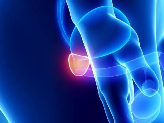 射精过快的解决办法