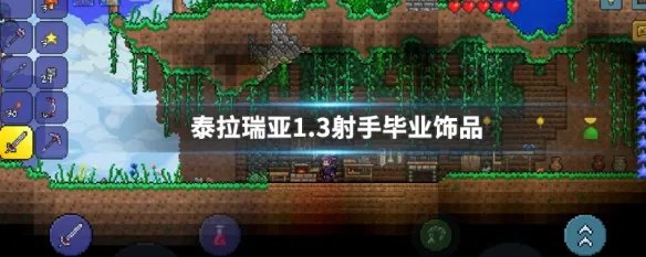 泰拉瑞亚1.3射手毕业饰品