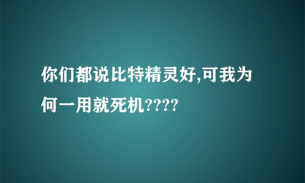 你们都说比特精灵好,可我为何一用就死机????