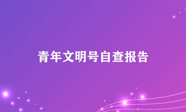 青年文明号自查报告