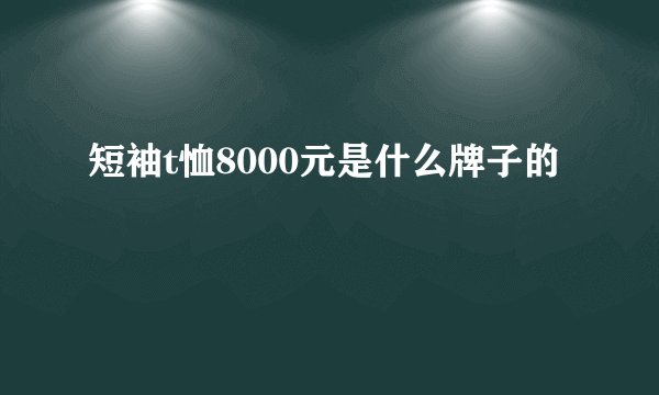 短袖t恤8000元是什么牌子的