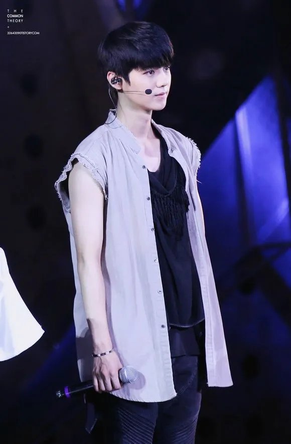 求exo鹿晗好看的qq皮肤