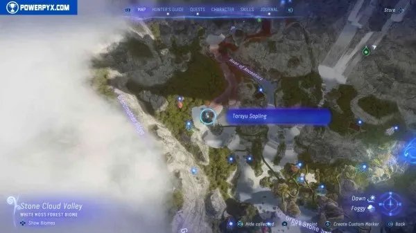 《阿凡达潘多拉边境》塔休幼苗位置汇总 塔休幼苗收集攻略