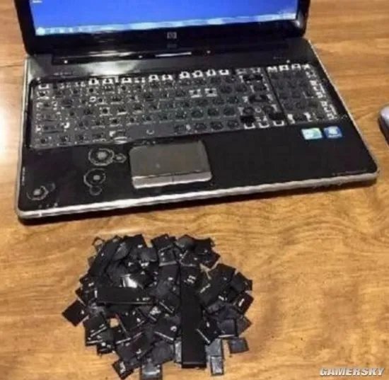 血压上来了 网友晒被熊孩子毁掉的笔记本电脑