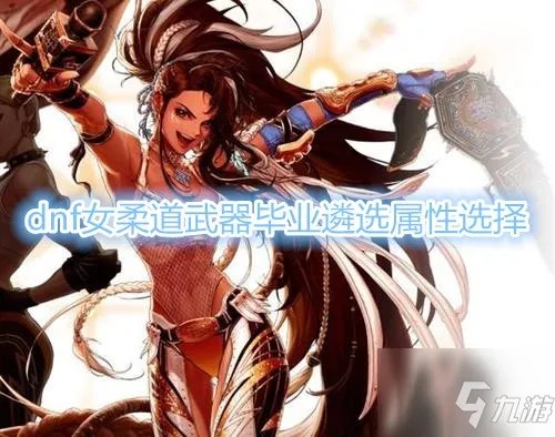《DNF》女柔道武器毕业遴选属性是什么 女柔道武器毕业遴选属性一览
