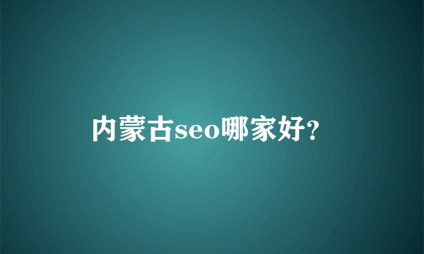 内蒙古seo哪家好？