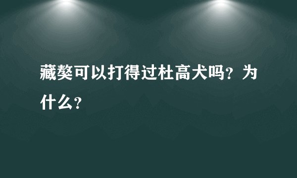 藏獒可以打得过杜高犬吗？为什么？