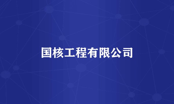 国核工程有限公司