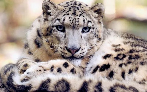 中国社会的不公平，怎么理解？