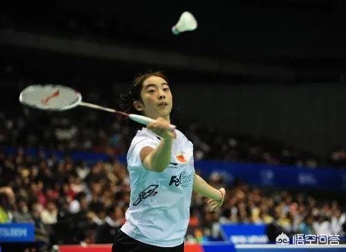 如何评价林丹微博炮轰国际羽联新规荒谬之极？