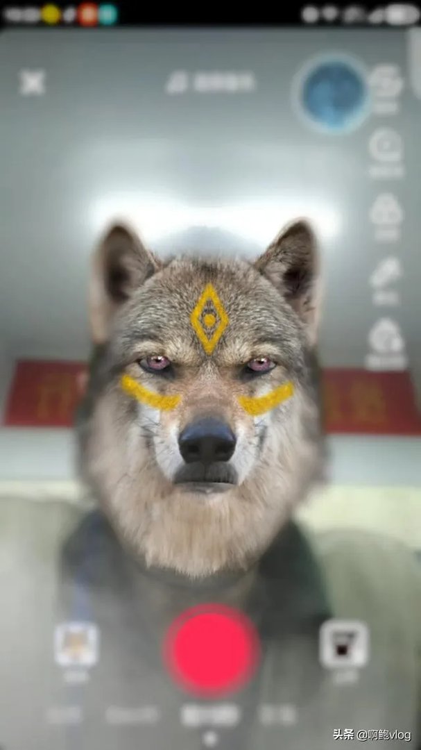 抖音白娘子特效怎么拍？