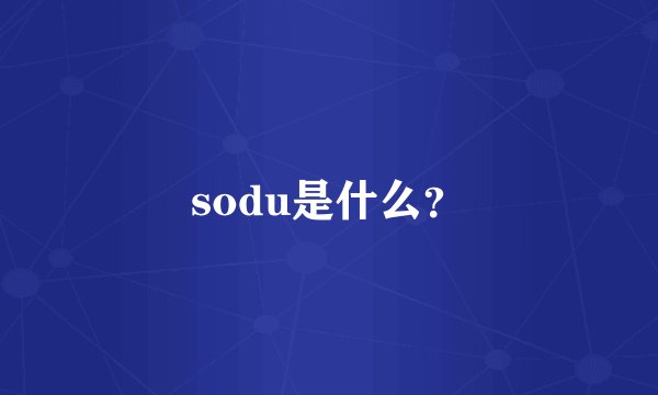 sodu是什么？
