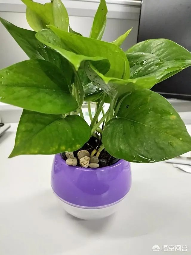 闺蜜和男朋友有暧昧该怎么办？