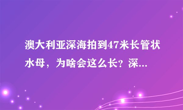 澳大利亚深海拍到47米长管状水母，为啥会这么长？深海中隐藏了多少人类未知的东西？