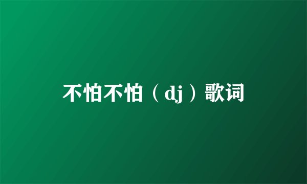 不怕不怕（dj）歌词