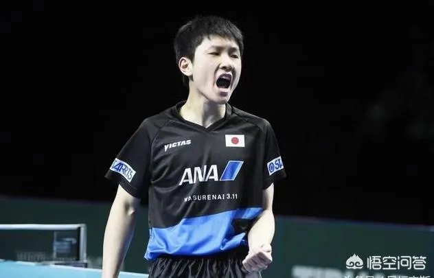 华裔小将张本每天叫嚣要战胜中乒乓球队，却在四强被卡尔完虐，都没有吼叫，你怎么看？