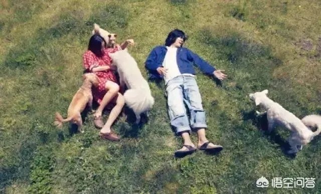 为什么李孝利炫富不招人讨厌？