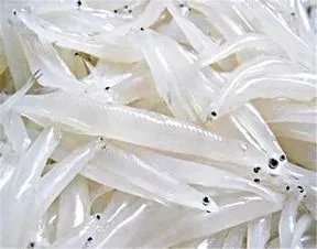 国内都有哪些价格比蔬菜便宜的海鲜?