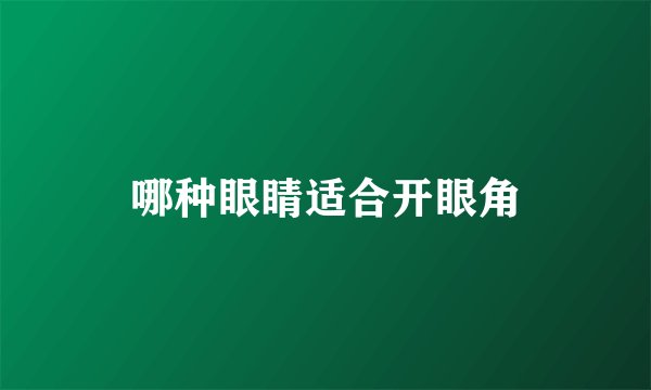 哪种眼睛适合开眼角