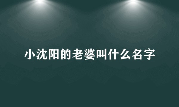 小沈阳的老婆叫什么名字
