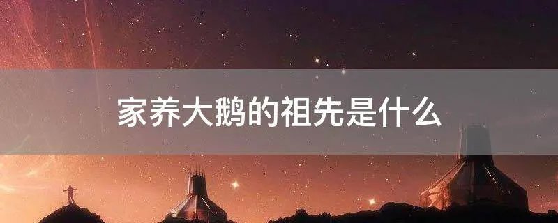 家养大鹅的祖先是什么