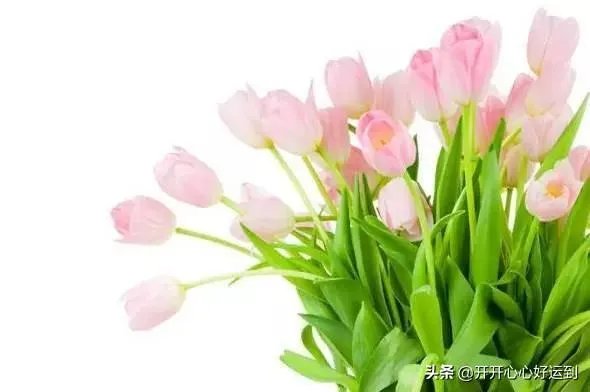 感情是靠感动还是靠吸引