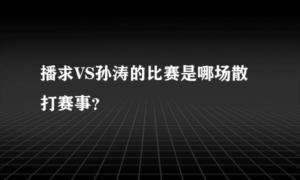 播求VS孙涛的比赛是哪场散打赛事？