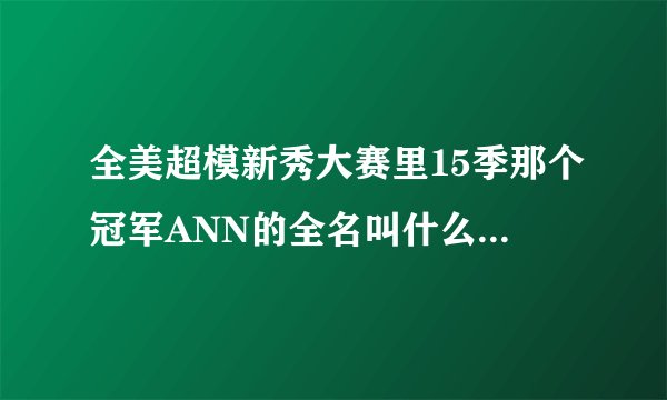 全美超模新秀大赛里15季那个冠军ANN的全名叫什么？有关于他的网站吗？