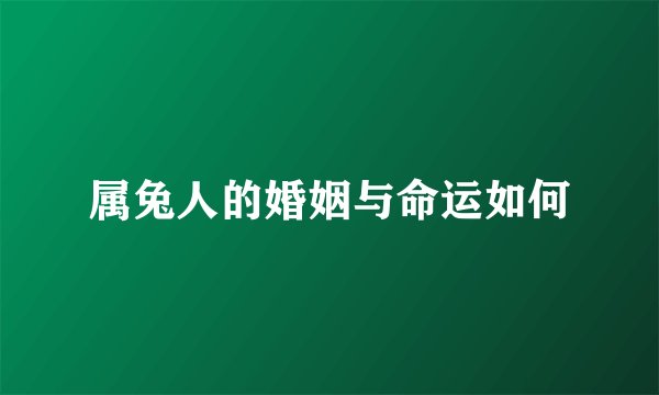 属兔人的婚姻与命运如何