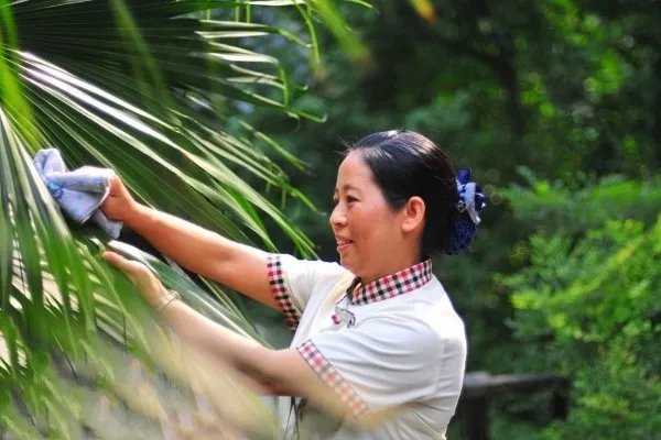 十大家政服务公司排名是怎么样的？