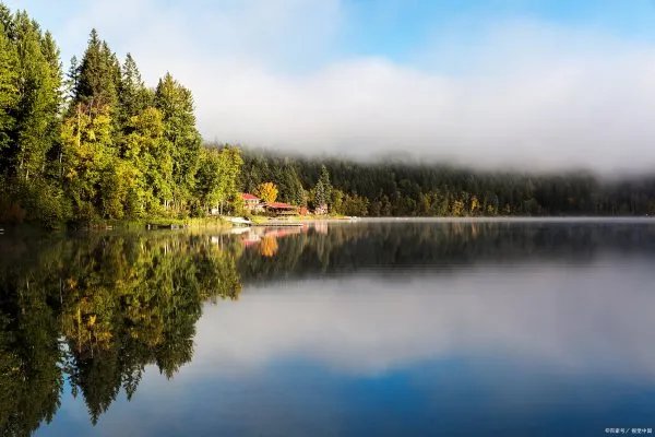加拿大作为一个移民大国，加拿大联邦自雇移民项目如何呢？