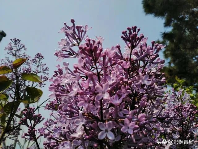 今年五一天津人能跨省旅游吗？