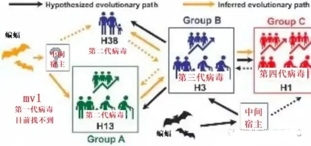 中国疫情第四代传染率甚低，为何意大利这么厉害属于几代？