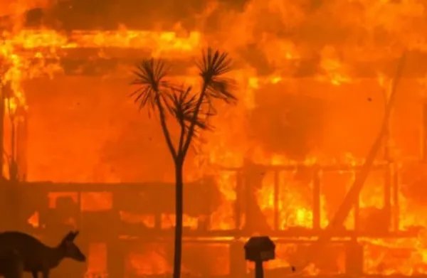 “气候危机纪元”已至？全球变暖史无前例，未来还需警惕哪些气候变化？