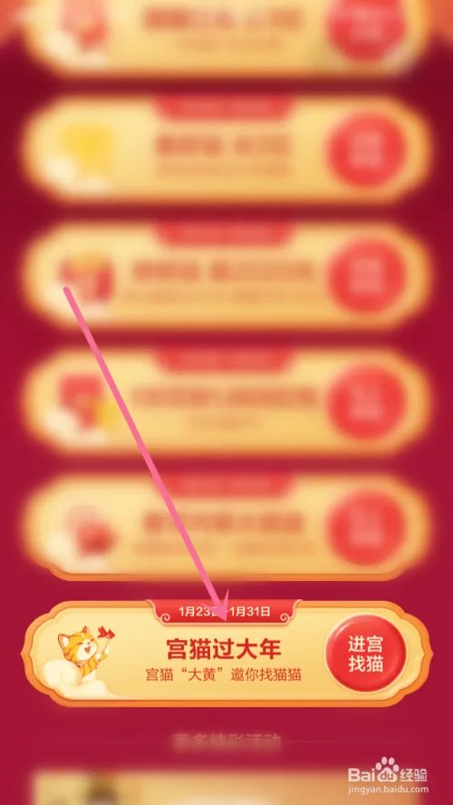 宫猫过大年怎么玩