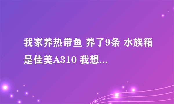 我家养热带鱼 养了9条 水族箱是佳美A310 我想问一下多久换一次水 要怎么换 还有佳美A310有氧气的吗