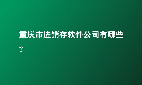 重庆市进销存软件公司有哪些？