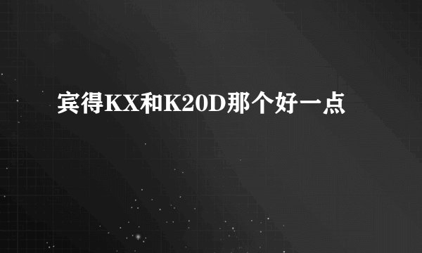 宾得KX和K20D那个好一点
