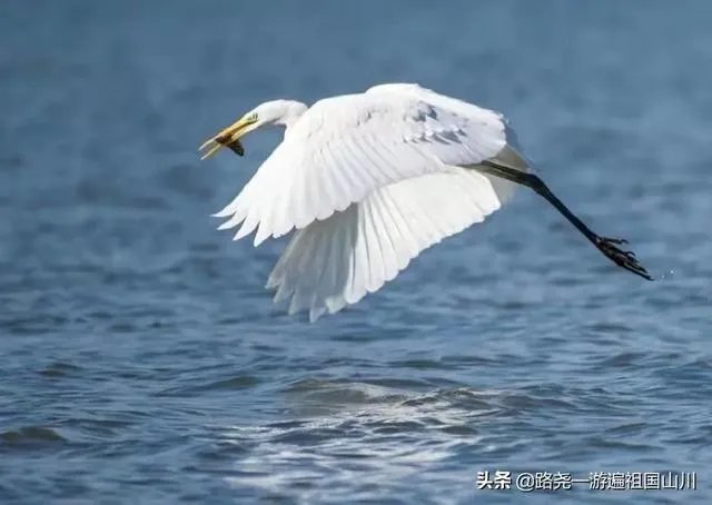 如何评价亚洲杯国足被韩国补时绝杀？