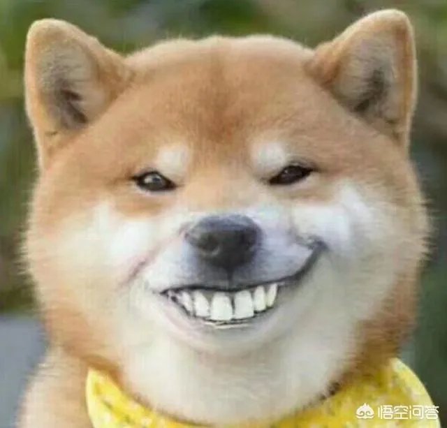 朴树发新歌了，为何从春节做到4月？