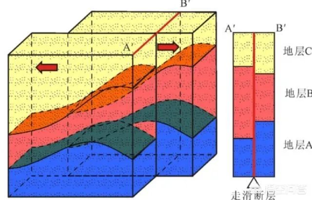 鱼跳上岸是什么征兆