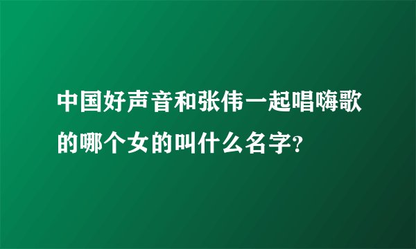 中国好声音和张伟一起唱嗨歌的哪个女的叫什么名字？