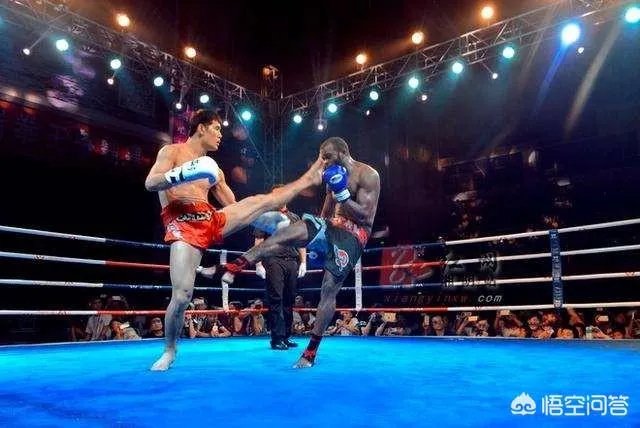 你觉得散打领域里,方便、白近斌、张开印和付高峰谁实力最强?为什么?