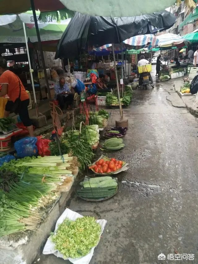 菜价连续8周上涨，近期涨得尤其厉害，你怎么看？