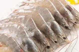 南美冻虾检出新冠只是一条误读引发的不是新闻吗？