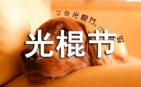 光棍节心情日志